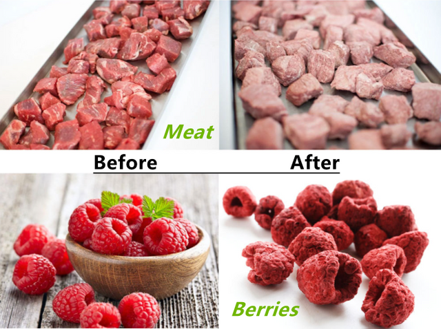 Мини-коммерческая вакуумная сушка/сушилка для замораживания продуктов питания и овощей